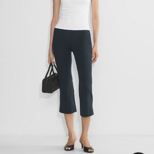 Aritzia pants